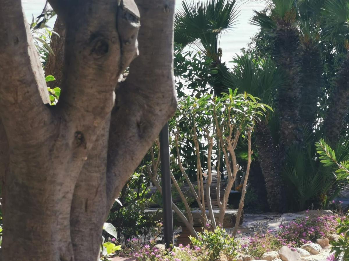 雷阿尔蒙特Giardino Sul Mare公寓 外观 照片