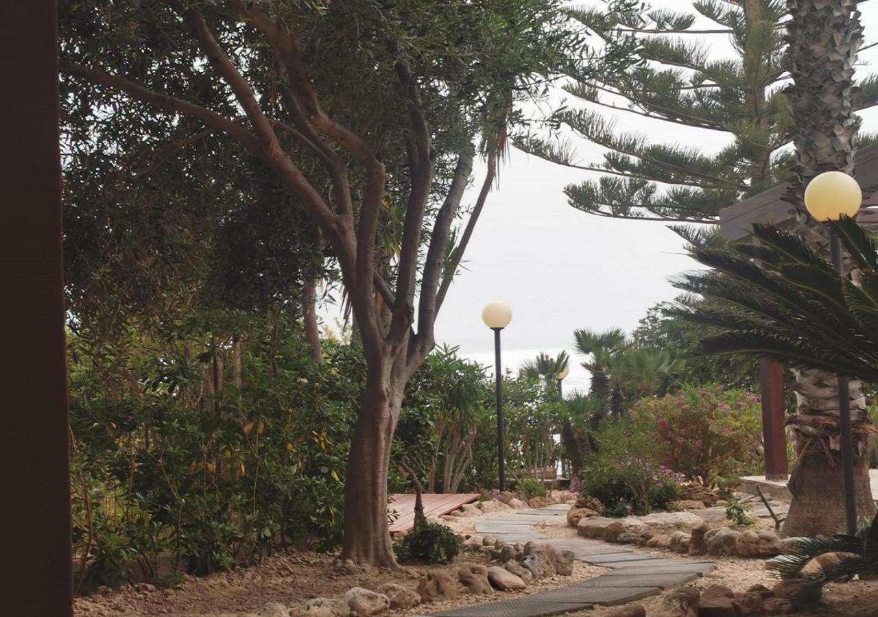 雷阿尔蒙特Giardino Sul Mare公寓 外观 照片